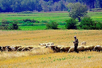 Turkey has radically transformed its land title registration system, and decreased the turnaround time for recording property transactions to just two hours.