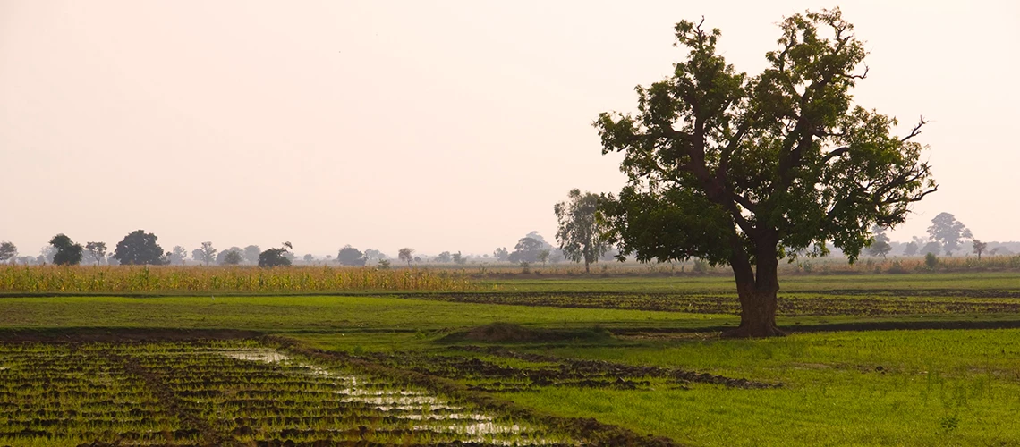 Transformative Agricultural Technologies in Sub-Saharan Africa for Enhanced Food Security 