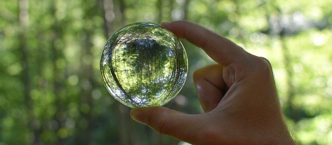 Hand holding a glass sphere reflecting trees in the forest on green blurry background.
