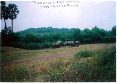 Jharbagda Village in West Bengal, 2006