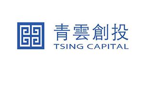 Logo of China Envt IV company. Link to the China Envt IV website.
