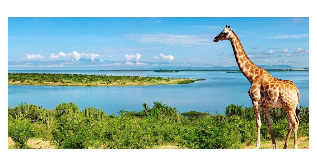 How nature-based tourism drives jobs and growth