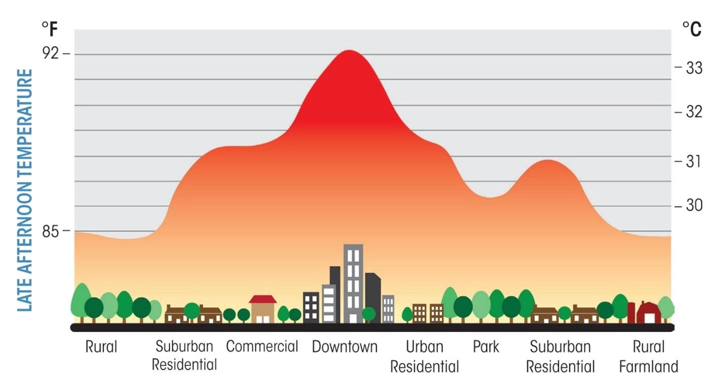 Graphic showing the urban heat effect