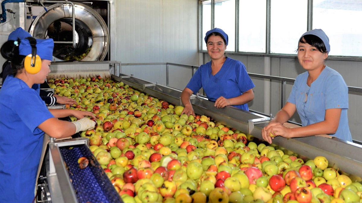 Food processing plant, Uzbekistan.