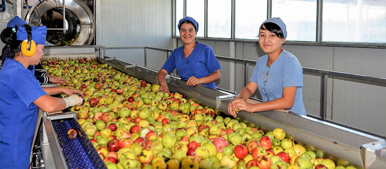 Food processing plant, Uzbekistan