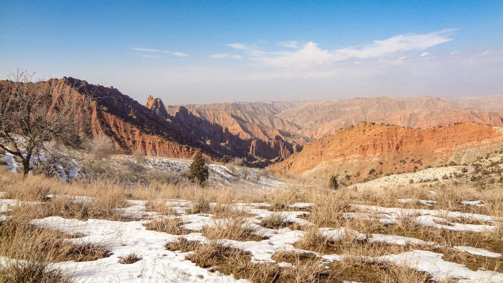 View of the virtual visit to Surkhandaryo region, Uzbekistan.