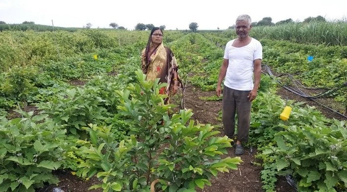 Vimal Rajabhu Yadav et son mari Rajabhau Yadav dans leur plantation.