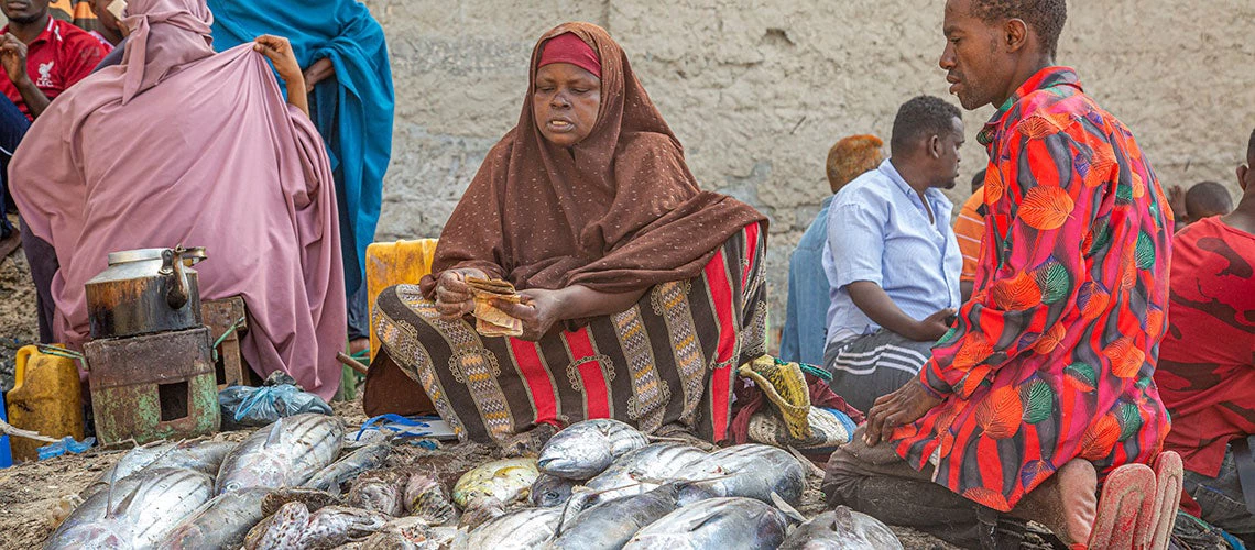 In Somalia, entrepreneurship is a driving force of the economy with an estimated 76% of all jobs coming from entrepreneurial activities. Except for large businesses, women play a leading role in this area.