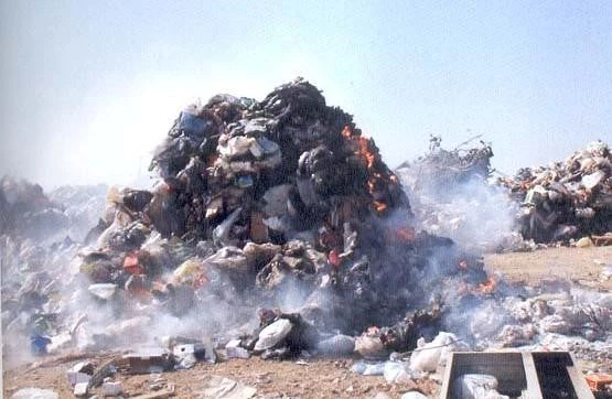 Waste Pickers Palestine