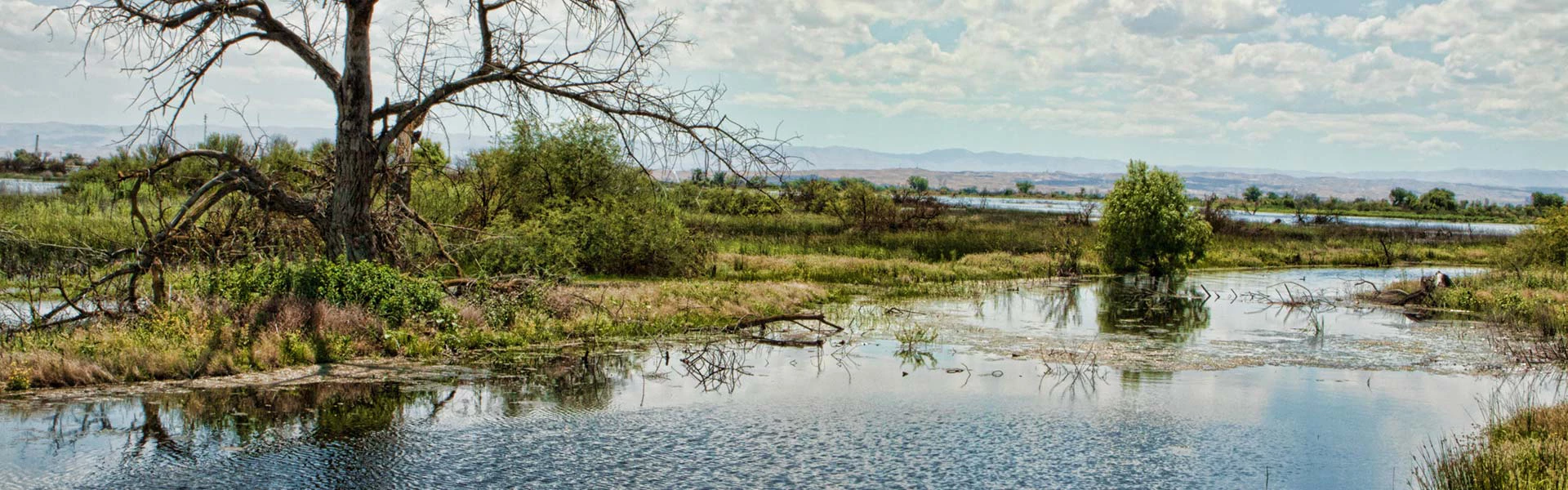 Water Banking - Water Association of Kern County