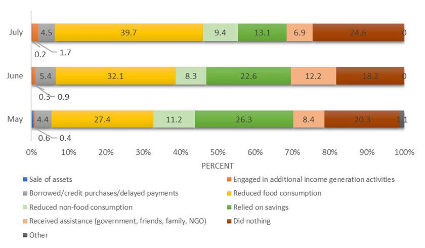 Main strategy adopted by households to cope with main shock by survey round