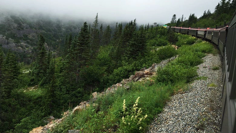 The White Pass & Yukon summit train. © Ted Chu