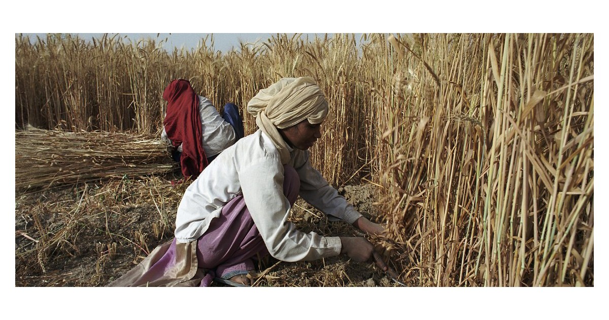 4 things we learned since kicking off our Food Security Updates