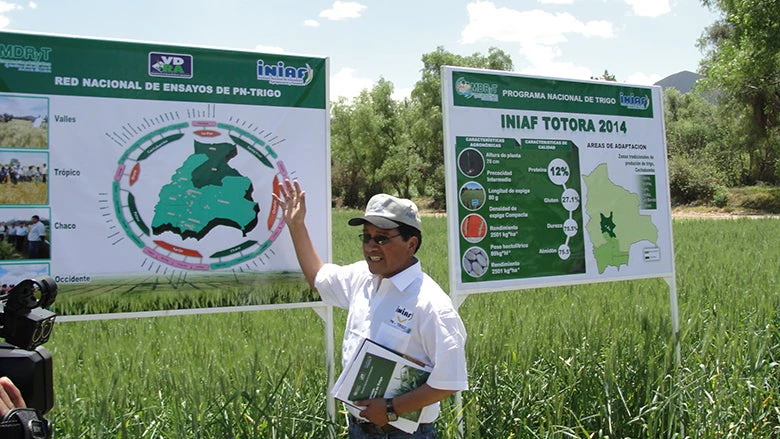 Programa de Trigo del INIAF -Bolivia