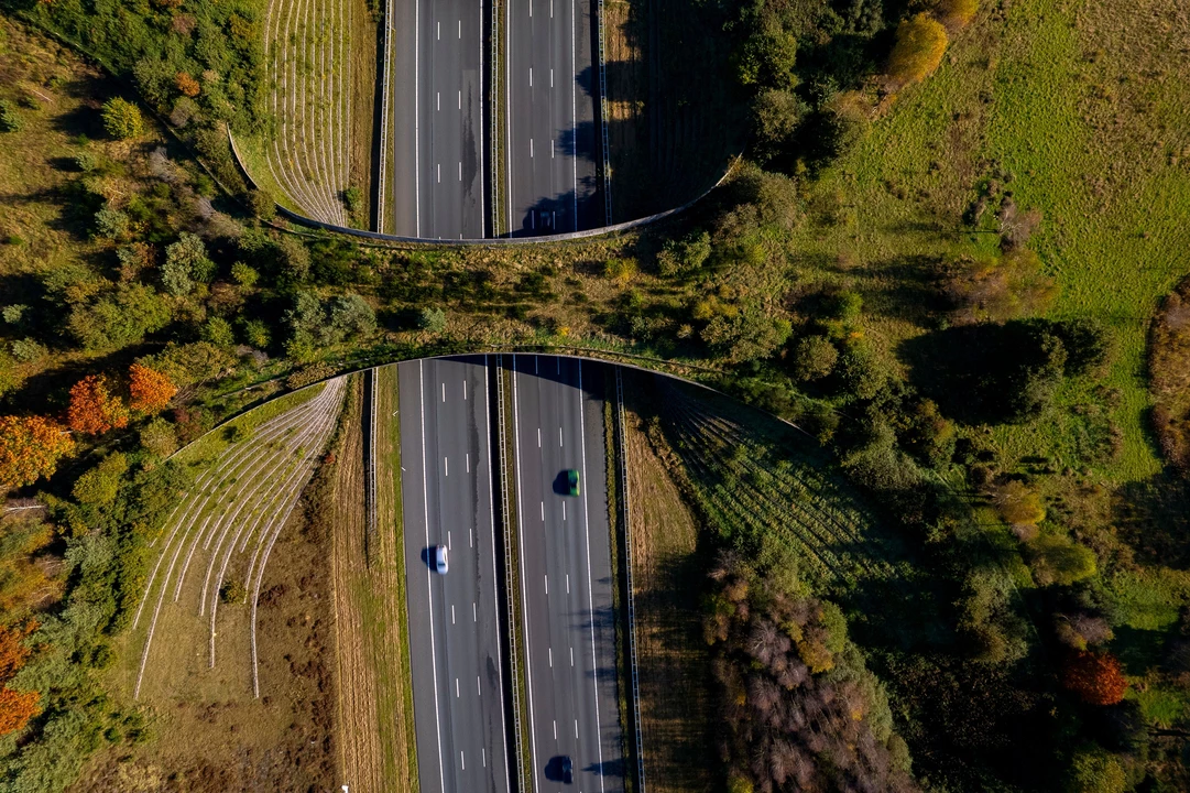 Conservation in the path of development: new data to guide road corridor investments