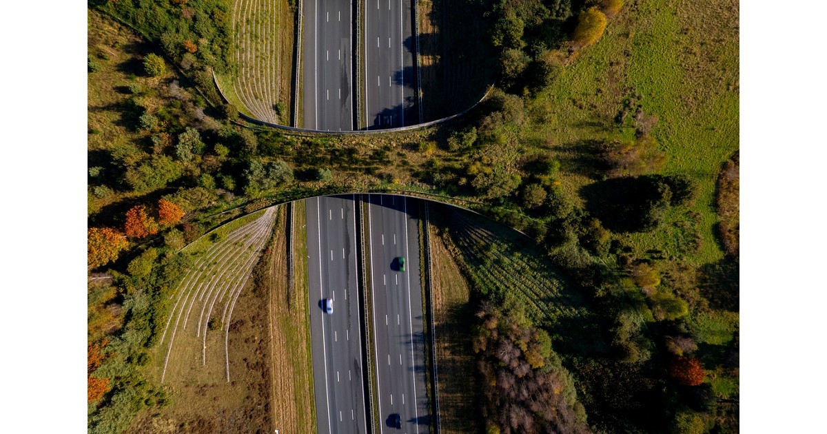 Conservation in the Path of Development: New Data to Guide Biodiversity-Sensitive Road Planning – World Bank Blogs