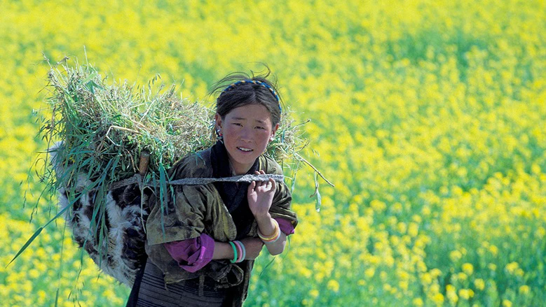 What the numbers reveal about women’s entrepreneurship