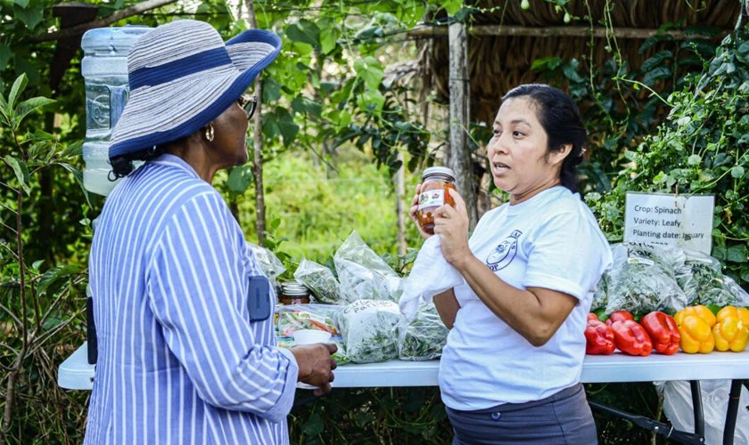 Women in a farm