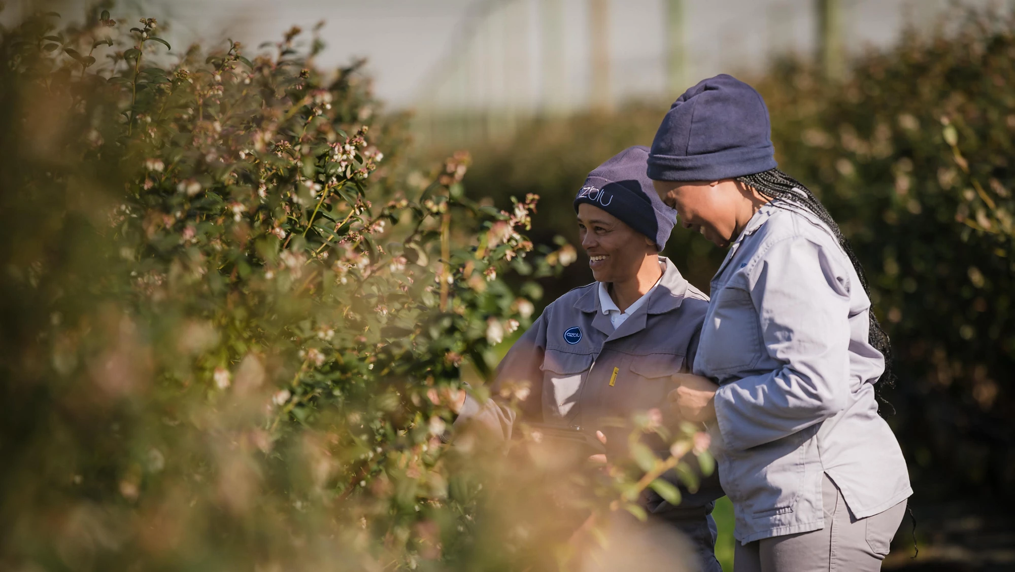 women working in agriculture in south africa