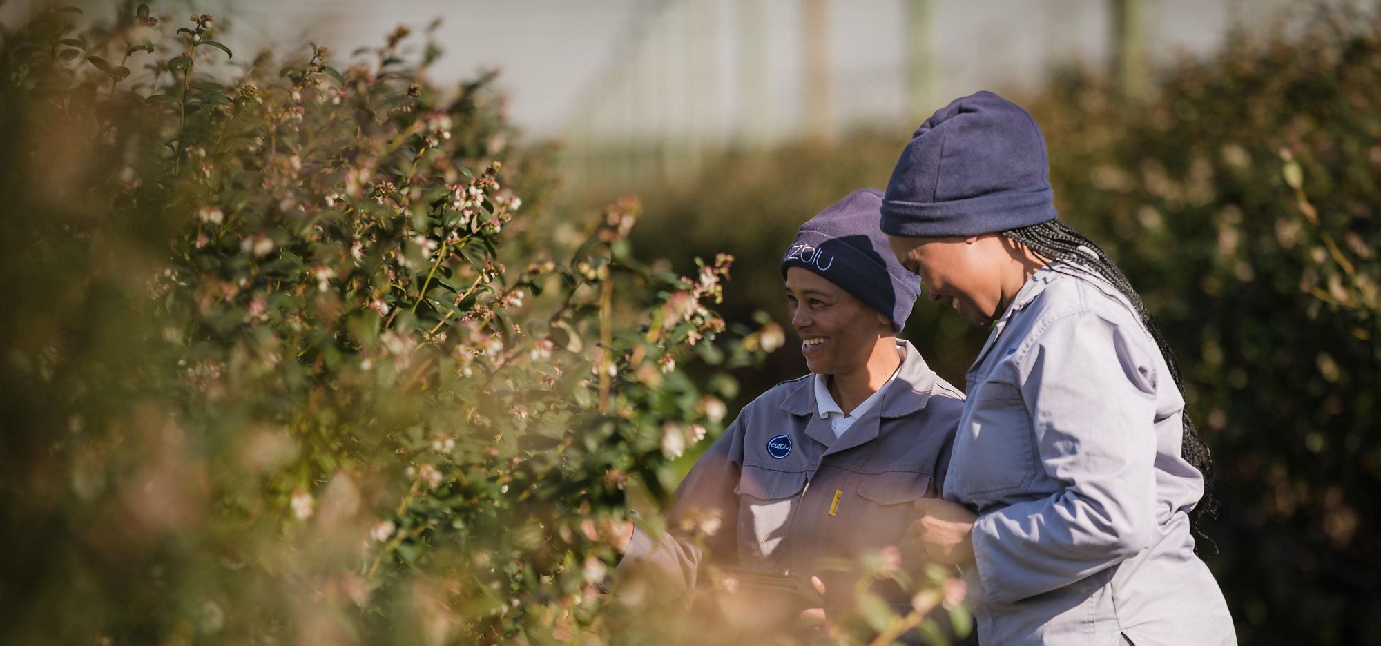 International Finance Corporation