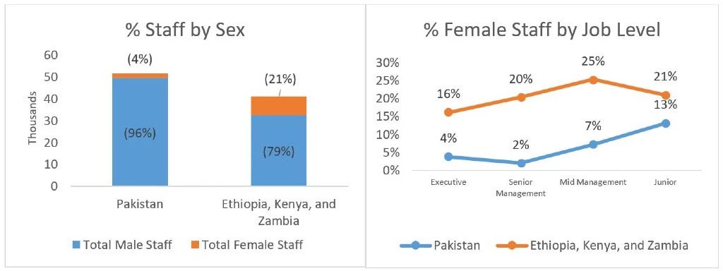 Graph of women employment