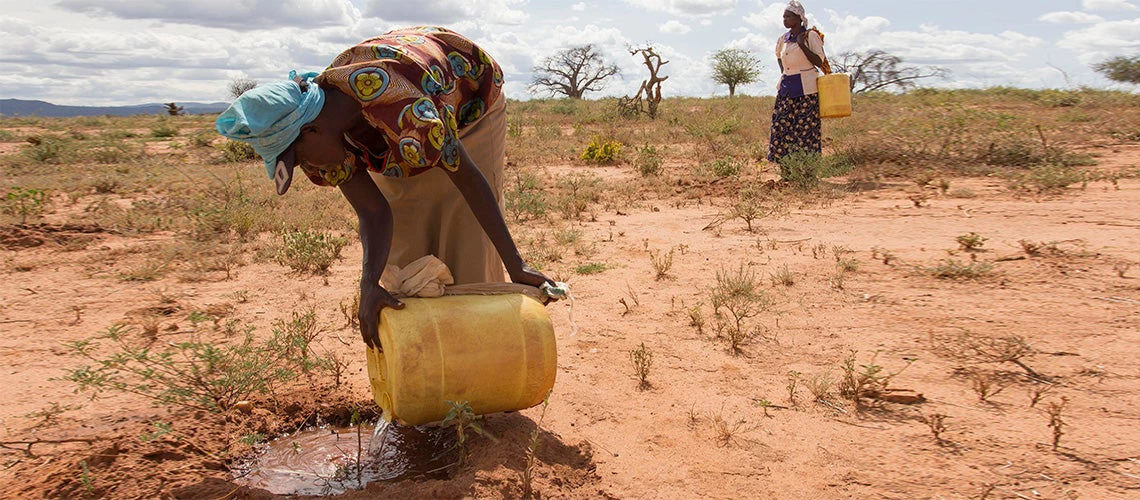 Women watering mukau sapplings in Kenya's arid Eastern Province. © Photo: Flore de Preneuf / World Bank