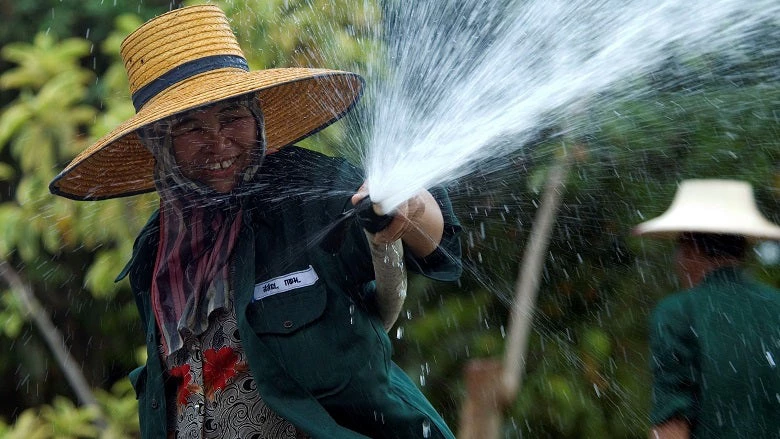 Worker in a park in Bangkok