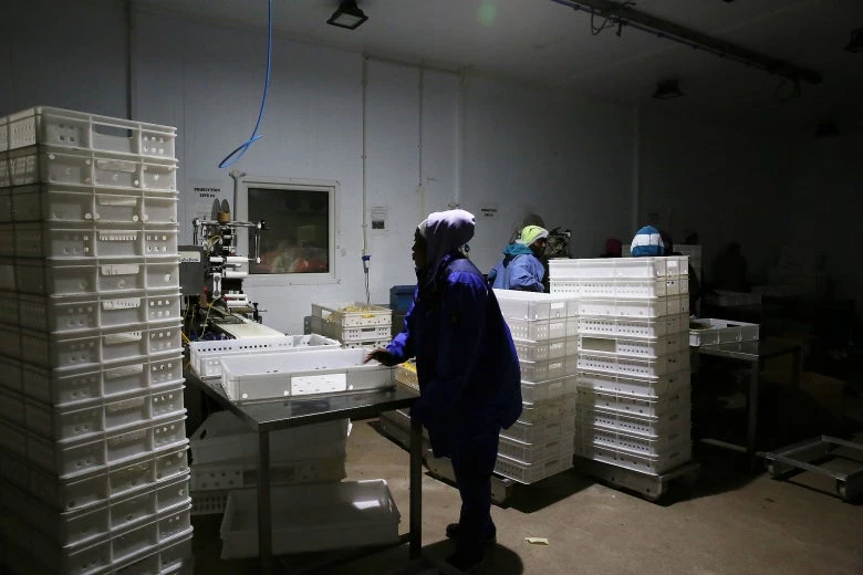 Trabajadores de Blue Skies ?una compañía situada a 45 minutos al este de Accra, Ghana? producen jugos de frutas frescas. Cuando se corta la luz ?algo que ocurre casi a diario? Blue Skies depende de costosos generadores diésel para mantener la producción.  © Dominic Chávez / Banco Mundial