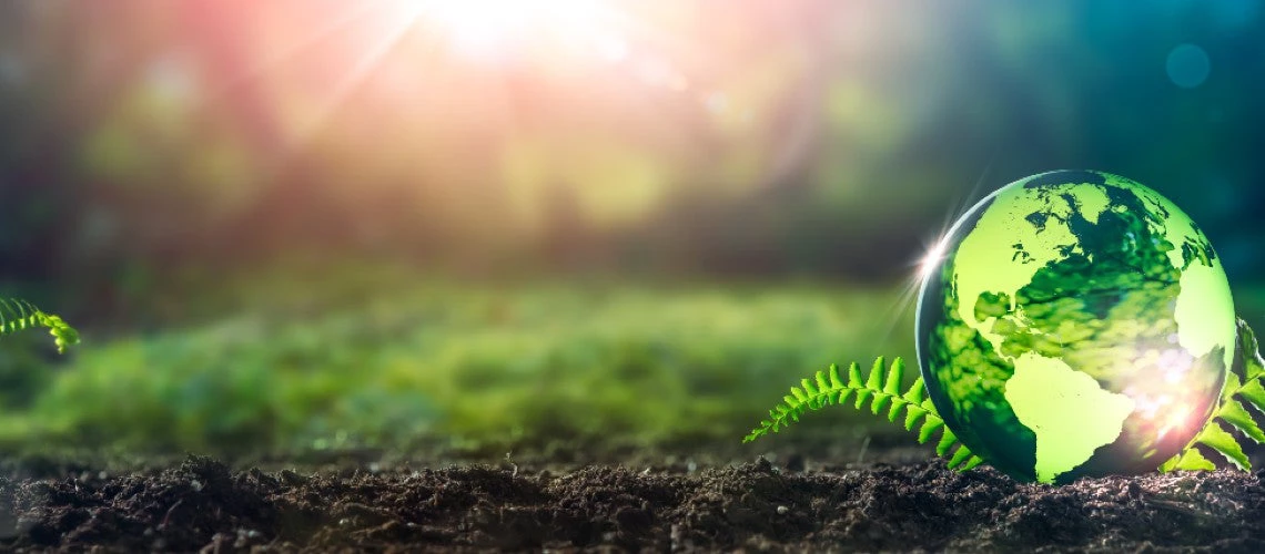 Crystal earth ball on soil in a forest with ferns and sunlight