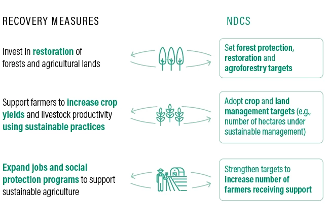 How recovery measures and NDCs can work together: Nature-based solutions, sustainable agriculture and rural livelihoods