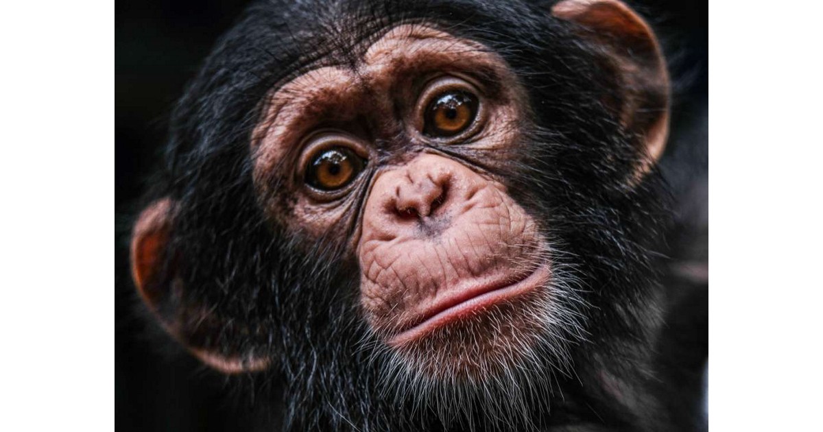 Unlocking Sierra Leone’s Tourism Potential