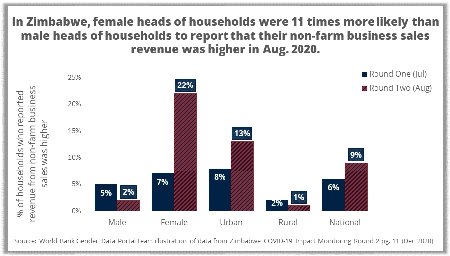 Monitoring COVID-19 Impact on Households in Zimbabwe