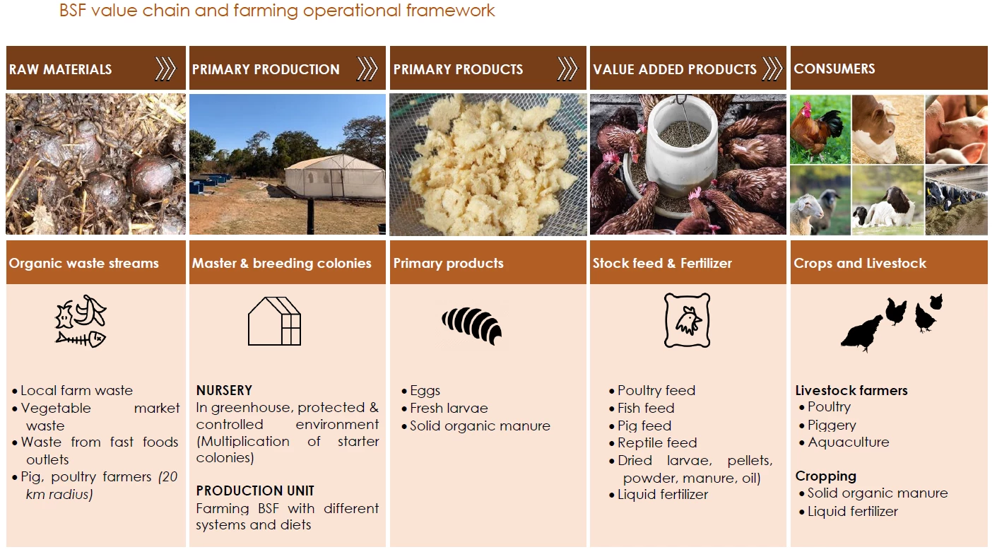 Source: Food and Agriculture Organization (FAO)/Zimbabwe Idai Recovery Project BSF Manual 