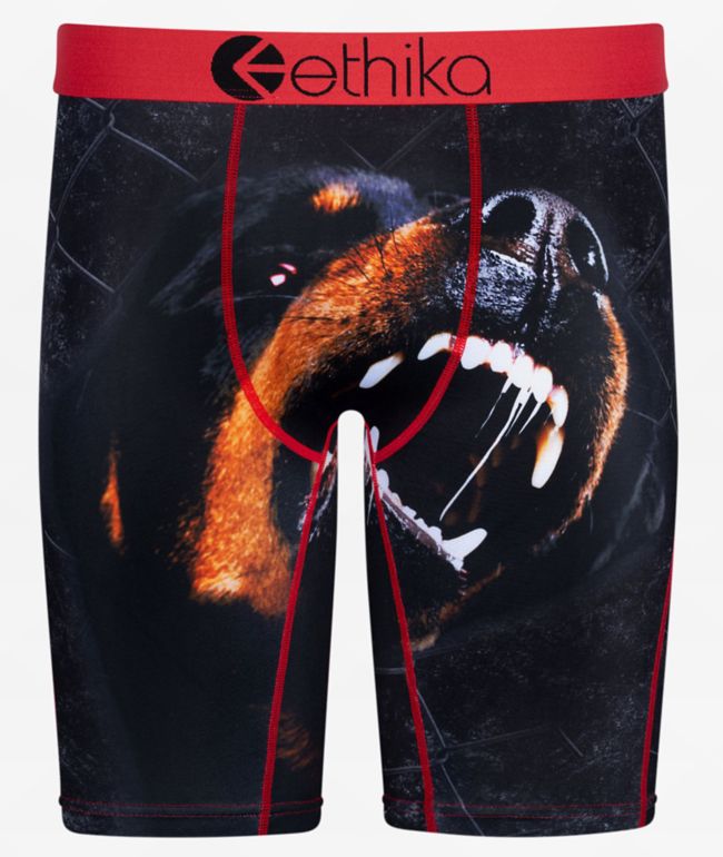 Ethika Mens Staple Boxer Briefs  Bomber Paisley Drip (Assorted, XX-Large)  at  Men's Clothing store